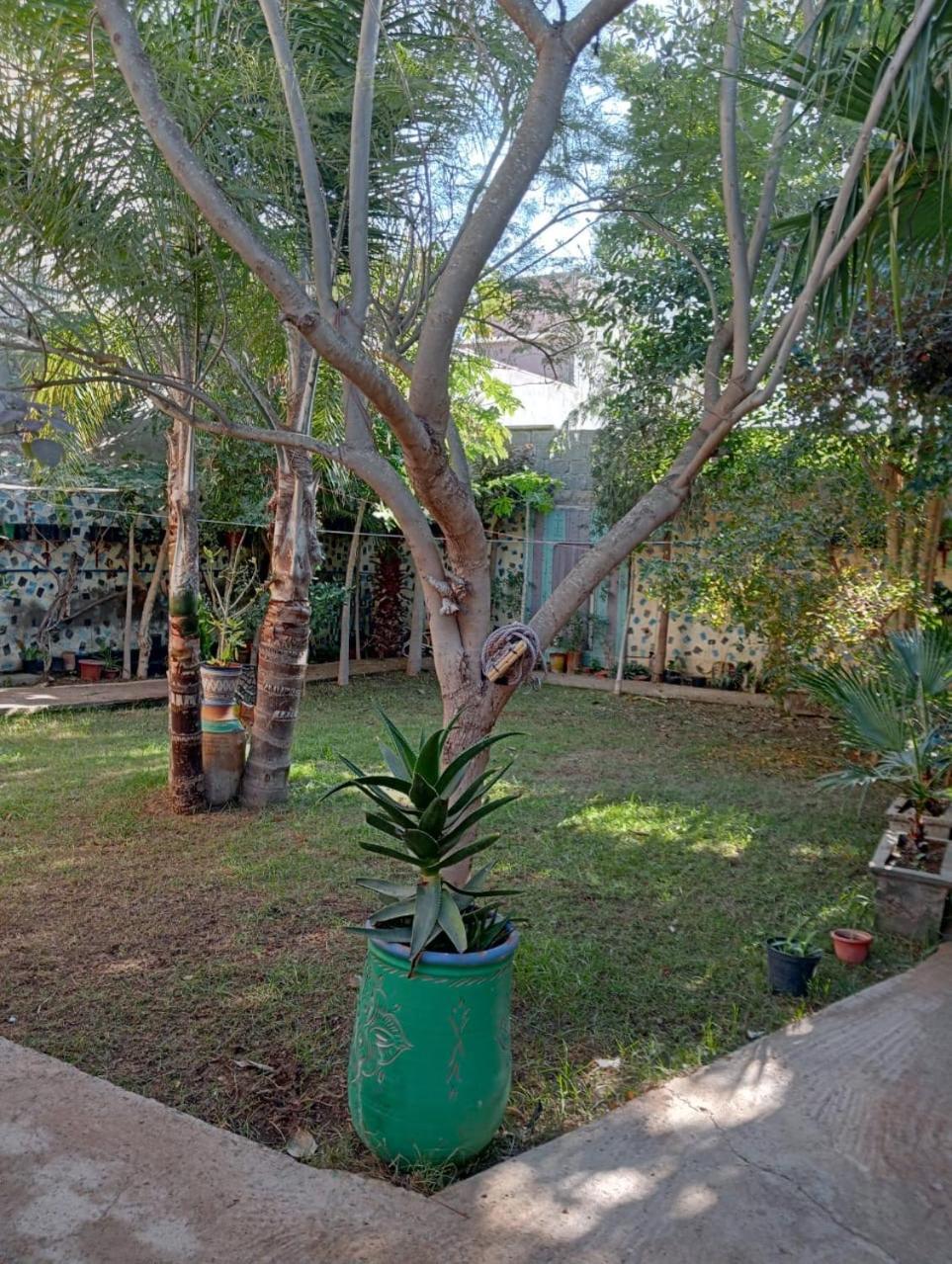 Riad Targante Takate 1 Sidi Bibi Ngoại thất bức ảnh