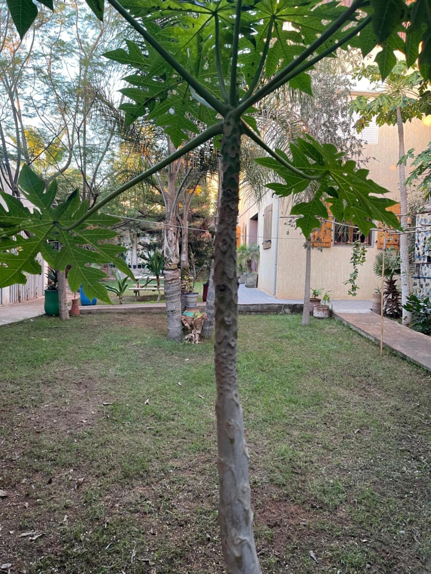 Riad Targante Takate 1 Sidi Bibi Ngoại thất bức ảnh